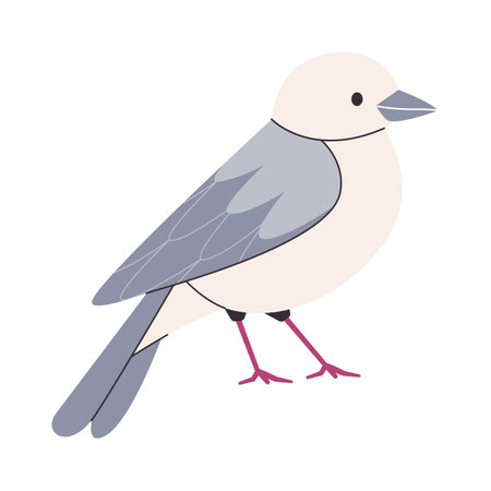 white and gray color small bird mourning dove species pretty cute nature animal beautiful wildlife creatureのイラスト素材