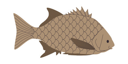 brown color fat fish wild nature saltwater animal ocean habitat marine environmentのイラスト素材