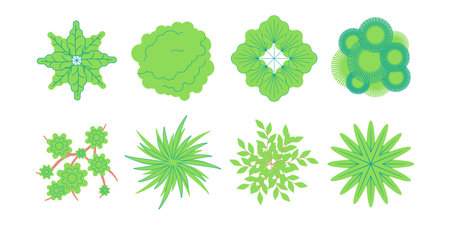 green color bush shrub foliage nature organic plant environment botany decorativeのイラスト素材