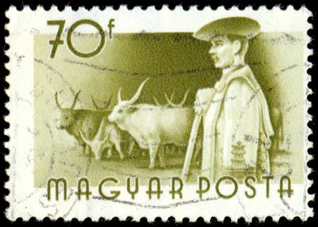 HUNGARY - CIRCA 1970: A stamp printed in Hungary showing farmer and cattle, circa 1970のeditorial素材