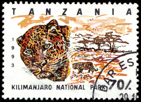 TANZANIA - CIRCA 1993: Stamp printed in Tanzania dedicated to Kilimanjaro national park, shows leopard, circa 1993のeditorial素材