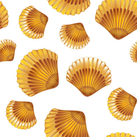 Shells on white background seamless. illustration.のイラスト素材