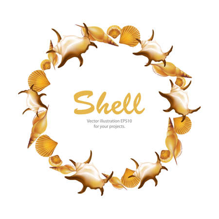 Shells round frame on white background. Vector illustration.のイラスト素材