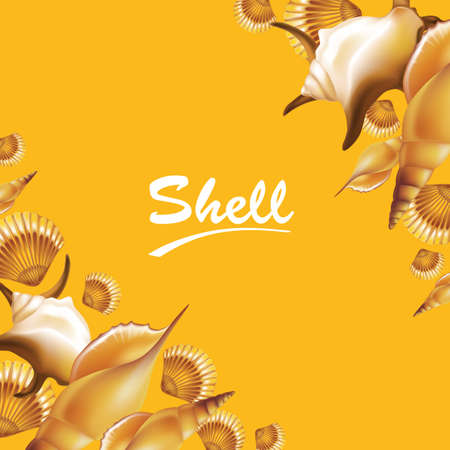 Shells on orange background. Vector illustration.のイラスト素材