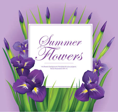 Iris flowers frame on violet background. Vector illustration.のイラスト素材