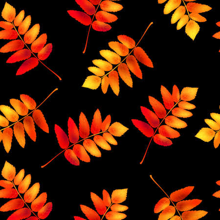 Autumn seamless pattern with rowan leaves. Vector illustration.のイラスト素材