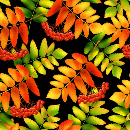 Autumn seamless pattern with rowan leaves. Vector illustration.のイラスト素材