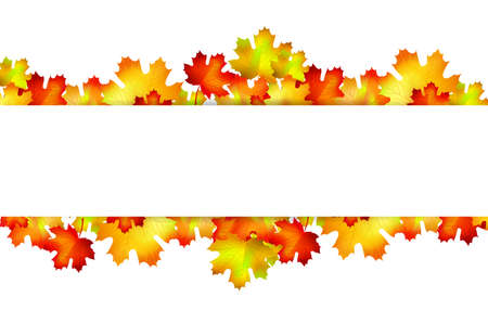 Colorful autumn maple leaves banner. Vector illustration.のイラスト素材