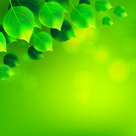 Green birch leaves whirl background. Vector illustration.のイラスト素材