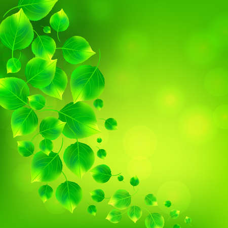 Green birch leaves whirl background. Vector illustration.のイラスト素材