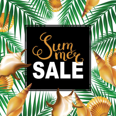 Summer sale banner with shells and palm leaves border background. Vector illustration.のイラスト素材