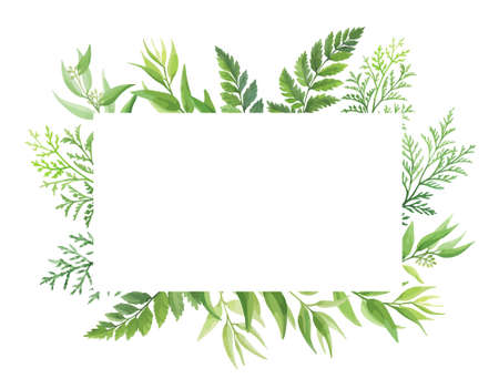 Green leaves rectangular frame template. Floral border with place for text. Forest herbs design. vector illustration.のイラスト素材