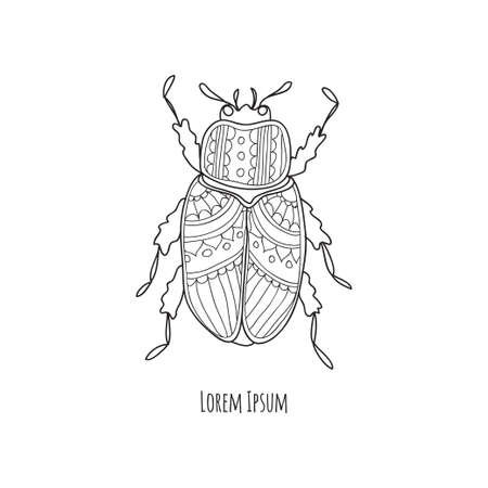 Cute hand drawn ortate beatle. Vector coloring page. のイラスト素材