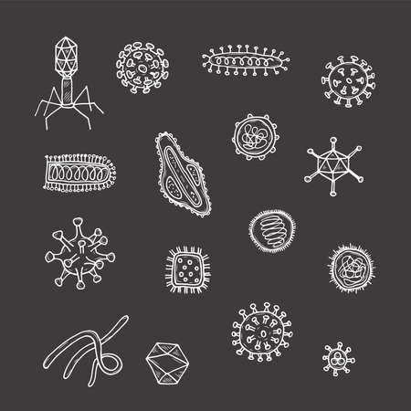 Set with hand drawn viruses. Science collection. Vector doolle illustrationのイラスト素材