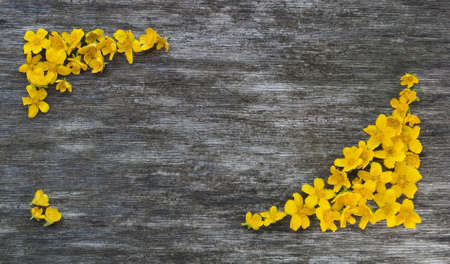 Frame of yellow flowers on a wood background with space for textの写真素材