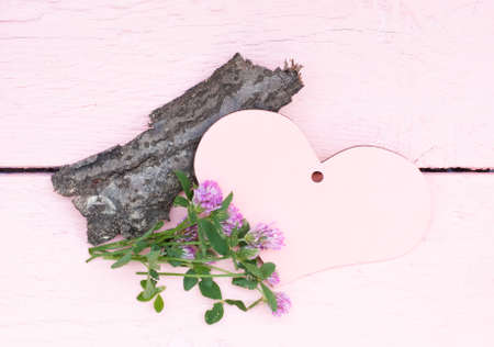 Pink heart and bright clovers on a pink wood backgroundの写真素材