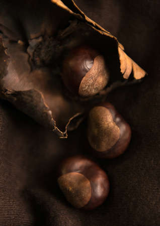 Nuts on a black background. hazelnut, hazelの写真素材