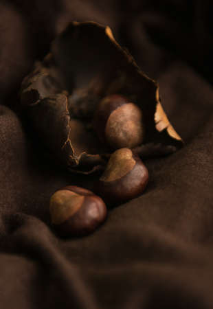 Nuts on a black background. hazelnut, hazelの写真素材