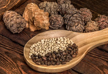 Pine nuts. Cedar nuts and cones on wooden table. Wooden bear made of cedar. Cedar. Pine nuts. Cedar cones.の写真素材