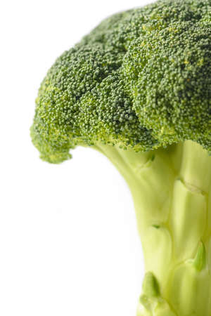 Fresh broccoli. Broccoli isolated on white background. Broccoli. Broccoli ?lose-up.の写真素材