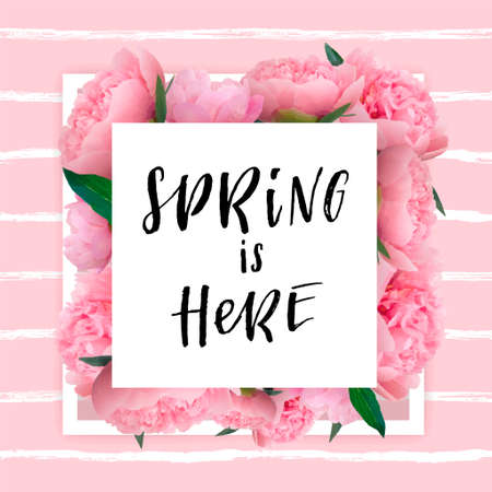 Spring lettering with hand drawn letters. Label and banner template with soft pink peony flowers with frame, vector illustration. Bright striped colorful background.のイラスト素材