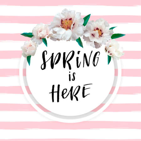 Spring lettering with hand drawn letters. Label and banner template with soft pink peony flowers with frame, vector illustration. Bright striped colorful background.のイラスト素材