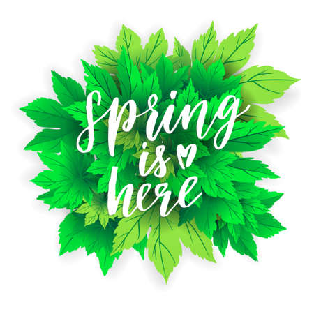 Spring sale lettering with hand drawn letters. Label and banner template with bright fresh green leaves with frame, vector illustration. Bright colorful background with gold confetti.のイラスト素材