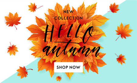 Autumn sale flyer template with lettering. Bright fall leaves. Poster, card, label, banner design. Bright geometrical background. Vector illustrationのイラスト素材