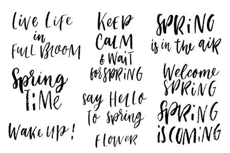 It's Spring time hand drawn brush lettering in black, isolated on white. Vector design lettering for spring sales, banners, advertisement, posters, prints, greeting cards, t-shirtsのイラスト素材