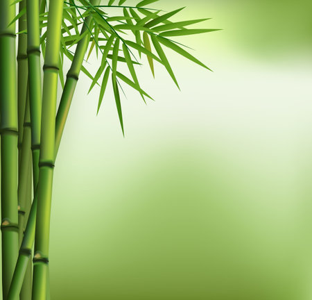 Green bamboo grove isolated on green backgroundのイラスト素材
