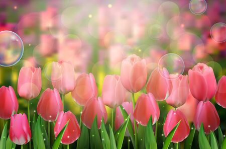 Red tulips flowers in the gardenのイラスト素材