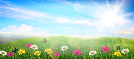 Beautiful spring meadow colorful flowersのイラスト素材