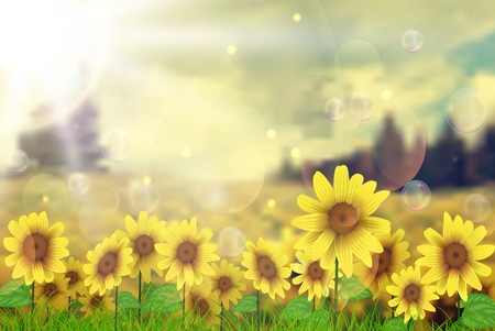 Summer sun over the sunflower fieldのイラスト素材