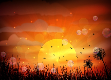 Illustration of sunrise and dragonflyのイラスト素材