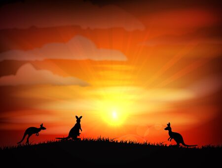 Illustration of Kangaroo on sunsetのイラスト素材