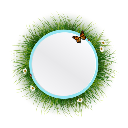 Circle frame with green grasssunlight and batterflyのイラスト素材
