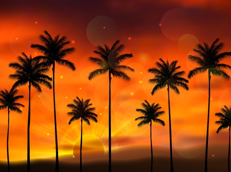 Palm tree view of sunsetのイラスト素材