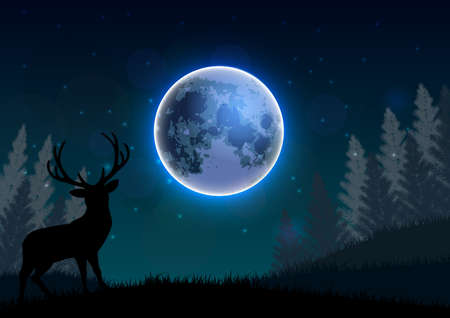 Silhouette of a deer standing on a hill at nightの写真素材