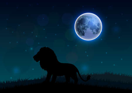 Silhouette of a lion standing on a hill at nightの写真素材
