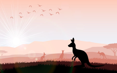 Silhouette a kangaroo the feeding in the bright sunsetの写真素材