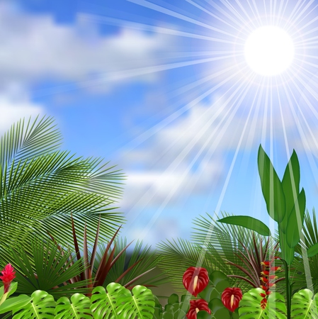 Beautiful tropical in the morning with a tree and flowersのイラスト素材