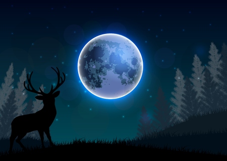 Silhouette of a deer standing on a hill at night. Vectorのイラスト素材