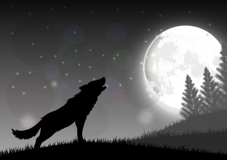 Silhouette of a wolf standing on a hill at night with moon