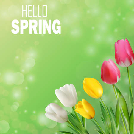 Tulips flowers with bokeh backgroundのイラスト素材