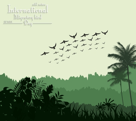 Vector illustration of Exotic tropical background beautiful with flying birds for Birds migratory dayのイラスト素材