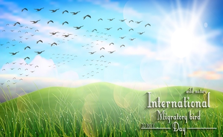 Vector illustration of Beautiful spring meadow for Birds migratory dayのイラスト素材