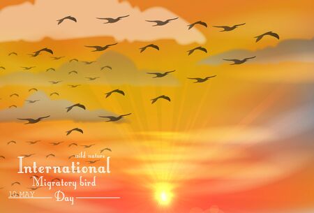 Vector illustration of Migratory birds day on sunsetのイラスト素材