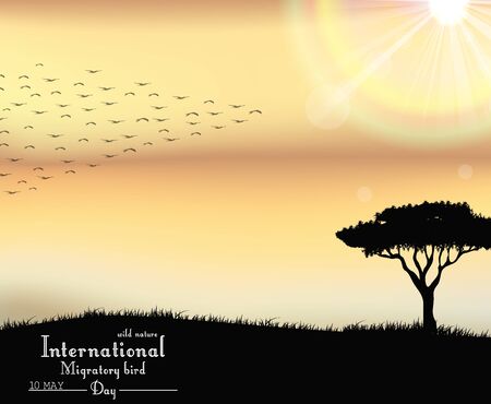 Vector illustration of Birds migratory day on sunset backgroundのイラスト素材