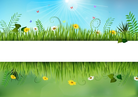 Fresh spring and daisy bordersのイラスト素材
