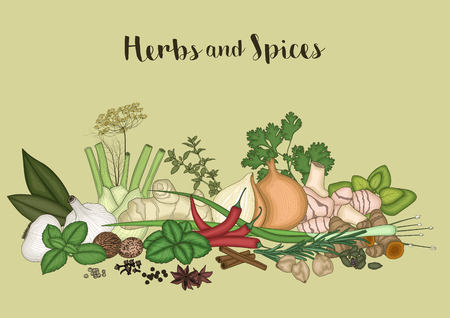 Vector illustration of Herbs and spices backgroundのイラスト素材